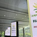 제22회 국제차문화대전 목 오픈 방문 대충 후기 2025.06.05