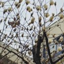 이촌역 3-1번 출구 이미지