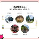 솔향기기사식당 | 펫츠고와 함께한 태안봄꽃여행1박2일(25/5/3,4)-2일차(청산수목원,솔향기길)