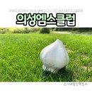의성골프랜드 | 의성엠스클럽 다시 가고 싶은 의성골프장 첫 라운딩 후기