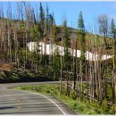 옐로우스톤 이미지