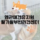 왈가왈부 반려견센터 이미지