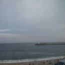 신한산회집 이미지