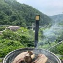 조이토마토 이미지