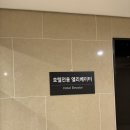위트 | 포항 오션뷰 라한호텔 패밀리스위트,코리안스위트룸 후기