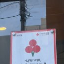 통갈비 | 제주 공항 근처 흑돼지 통갈비 맛집, 섬돈 본점 후기