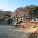 여명농장 이미지