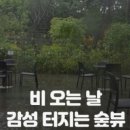 홀리빈