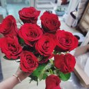 행복한 꽃 이미지