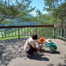 오음초등학교병설유치원 이미지