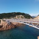 성주카병원 이미지