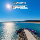 영덕 블루로드 고래불해수욕장 솔숲산책코스