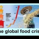 세기전자 이미지