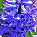 우화 목장 이미지