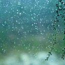 김희갑악단 이미지