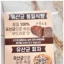 대원로-2 | 파주시맛집 명품유산균피자빵 | 속 편한 파주 피자 &amp; 100% 파주 통밀빵 솔직 후기