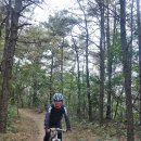 부여(임천)-14 이미지