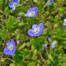 태안여자고등학교 이미지