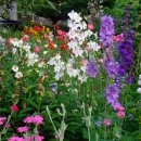 전원민박 이미지