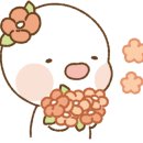 세올까페 이미지