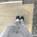 스압주의 밀린 일상!