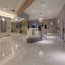 (주)바이오덴트 하단점 | 모바렌 효능 탈모