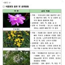 [펌] 식약청 - 식용 꽃의 종류 및 섭취방법 이미지