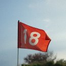 수서스크린골프존(357) 이미지