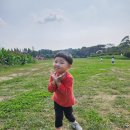 유니아그로 네이버블로그