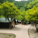 소백산 남천야영장1 연합뉴스