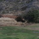 칠레 파타고니아. 이미지