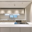 왕버들로 이미지