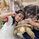 피터팬어린이집 이미지