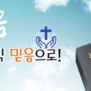 감문초등학교 이미지