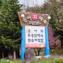송어회마루 | 휘닉스파크 송어 포장 후기/ 평창 흥정계곡 송어회마루 송어회 내돈내산 후기/ [송어회마루]