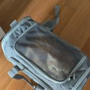 동물의료센터24인치 이미지