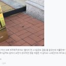 여성의류아가