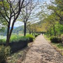 보문호반길 이미지