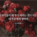 당신이 읽어야 할 효도 명언 7가지 이미지