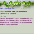 원텍 헤어빔 에어 2주차 후기 이미지