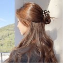 소로르헤어 이미지
