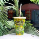 썰스티(THIRSTY) | Thirsty 썰스티, 세부 아얄라몰 LG가든 망고 쉐이크 추천