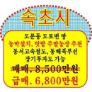 조양공인중개사사무소 이미지