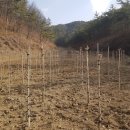 부동농장2 이미지