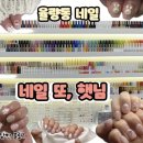 네일 또,햇님 이미지