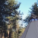 추동캠프 이미지