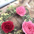 꽃과떡