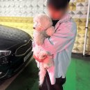 옐레드 애견유치원 & 애견호텔 광명점 | 하남 애견호텔 옐레드 하남 미사점｜생후 138일 꼬똥이 첫 호텔링 후기