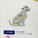 ES 헬스케어 네이버블로그