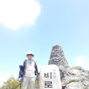 초하의 치악산 풍경(2020.5.29금) 이미지